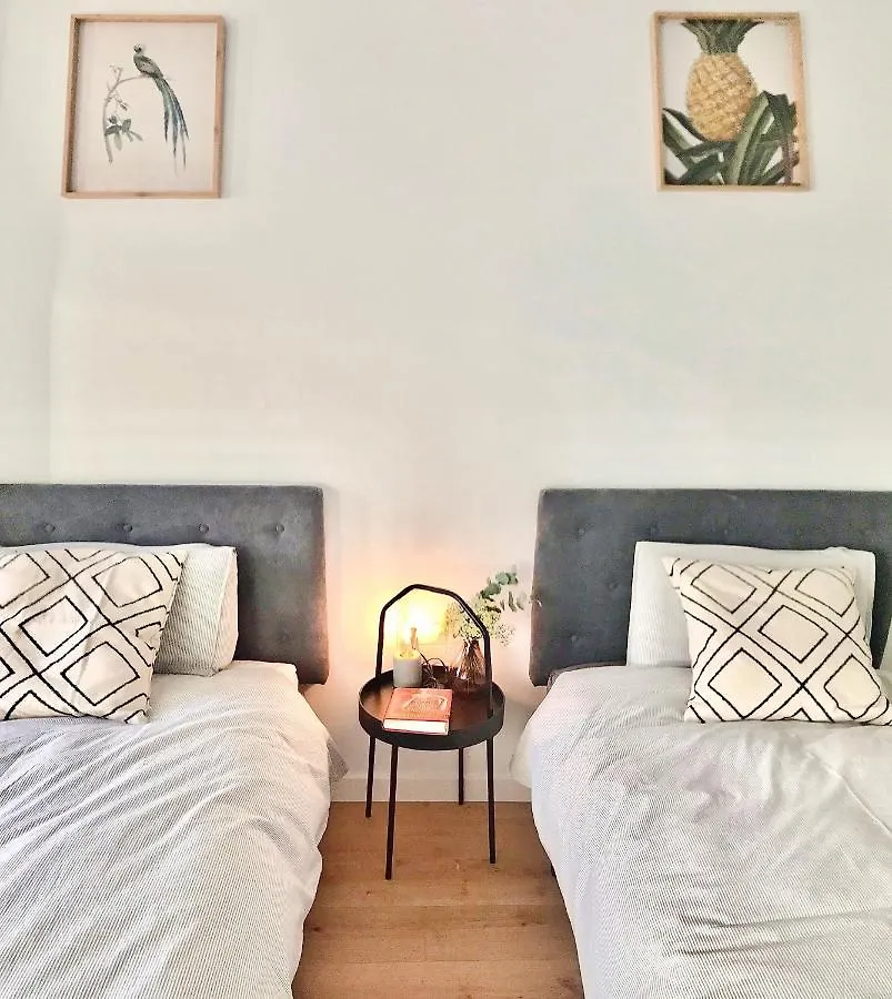 Homely Malaga Soho San Lorenzo